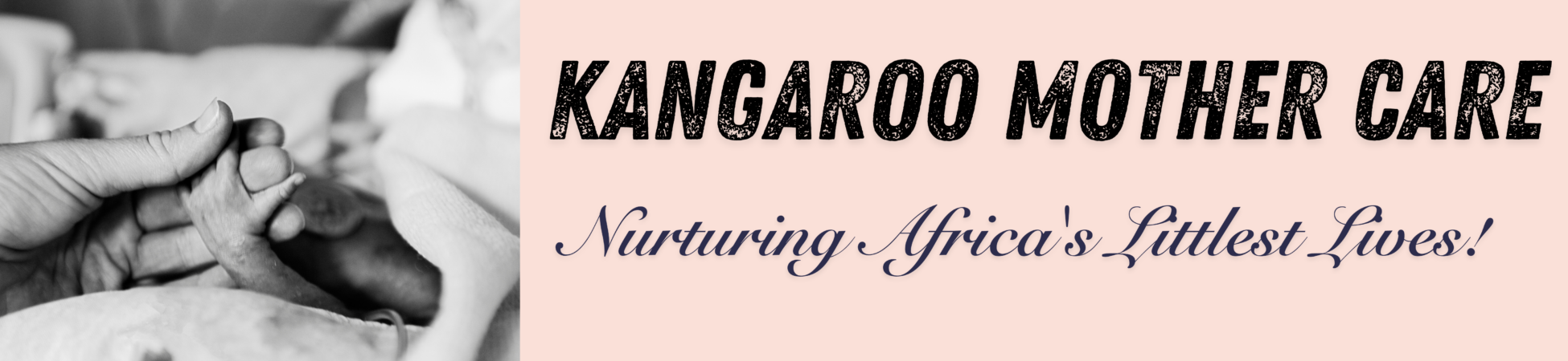 Kangaroo Mother Care Knowledge Community